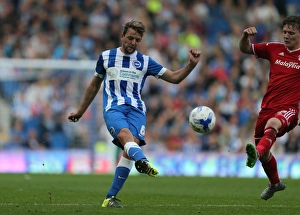 Brighton & Hove Albion vs. Cardiff City: Sky Bet Championship Showdown at American Express Community Stadium (October 3, 2015)