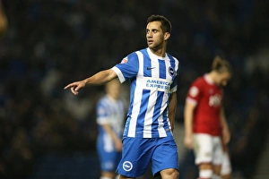 Brighton and Hove Albion vs. Bristol City: Sky Bet Championship Showdown at American Express Community Stadium (October 2015)
