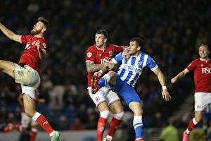 Brighton and Hove Albion vs. Bristol City: Sky Bet Championship Showdown at American Express Community Stadium (10.2015)