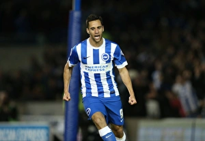 Brighton and Hove Albion vs. Bristol City: Sky Bet Championship Showdown at American Express Community Stadium (10-2015)