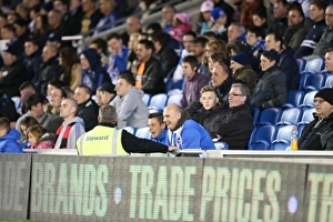 Brighton & Hove Albion vs. Bristol City: Sky Bet Championship Showdown at American Express Community Stadium (10.2015)