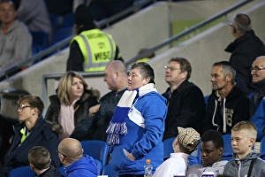Brighton and Hove Albion vs. Bristol City: Sky Bet Championship Showdown at American Express Community Stadium (October 2015)