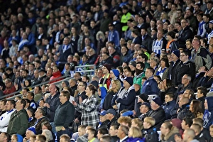 Brighton and Hove Albion vs. Bristol City: Sky Bet Championship Showdown at American Express Community Stadium (10.2015)