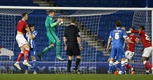 Brighton and Hove Albion vs. Bristol City: Sky Bet Championship Showdown at American Express Community Stadium (October 2015)