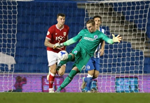 Brighton and Hove Albion vs. Bristol City: Sky Bet Championship Showdown at American Express Community Stadium (October 2015)