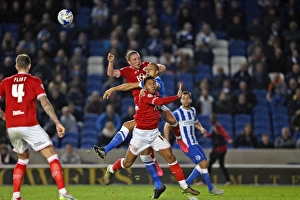 Brighton & Hove Albion vs. Bristol City: Sky Bet Championship Showdown at American Express Community Stadium (October 2015)