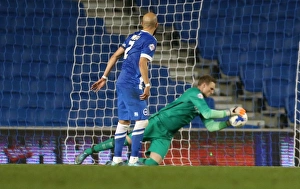 Brighton and Hove Albion vs. Bristol City: Sky Bet Championship Showdown at American Express Community Stadium (10.2015)