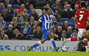 Brighton and Hove Albion vs. Bristol City: Sky Bet Championship Showdown at American Express Community Stadium (October 2015)