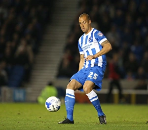 Brighton & Hove Albion vs. Bristol City: Sky Bet Championship Showdown at American Express Community Stadium (October 2015)