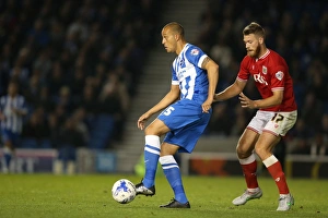 Brighton and Hove Albion vs. Bristol City: Sky Bet Championship Showdown at American Express Community Stadium (October 2015)