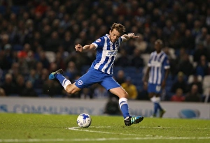 Brighton and Hove Albion vs. Bristol City: Sky Bet Championship Showdown at American Express Community Stadium (October 2015)