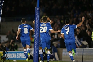 Brighton and Hove Albion vs. Bristol City: Sky Bet Championship Showdown at American Express Community Stadium (October 2015)