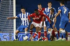 Brighton and Hove Albion vs. Bristol City: Sky Bet Championship Showdown at American Express Community Stadium (October 20, 2015)