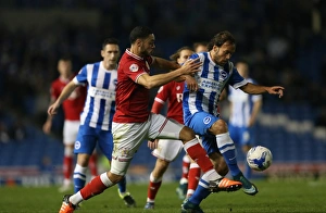 Brighton and Hove Albion vs. Bristol City: Sky Bet Championship Showdown at American Express Community Stadium (10-2015)