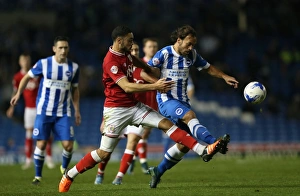Brighton and Hove Albion vs. Bristol City: Sky Bet Championship Showdown at American Express Community Stadium (October 2015)