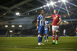 Brighton & Hove Albion vs. Bristol City: Sky Bet Championship Showdown at American Express Community Stadium (10.2015)