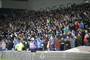 Brighton and Hove Albion vs. Bristol City: Sky Bet Championship Showdown at American Express Community Stadium (10.2015)