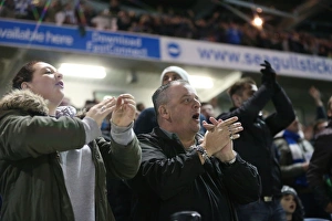 Brighton and Hove Albion vs. Bristol City: Sky Bet Championship Showdown at American Express Community Stadium (October 2015)