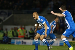 Brighton and Hove Albion vs. Bristol City: Sky Bet Championship Showdown at American Express Community Stadium (October 2015)