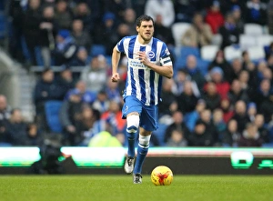 Brighton and Hove Albion vs. Birmingham City: Sky Bet Championship Showdown at American Express Community Stadium (November 28, 2015)