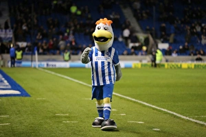 Brighton & Hove Albion vs. Ipswich Town: A Fierce Championship Clash at American Express Community Stadium (29DEC15)