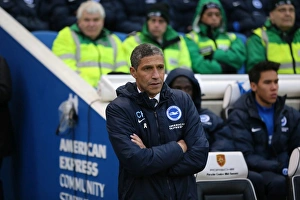Brighton and Hove Albion vs. Wolverhampton Wanderers: Sky Bet Championship Showdown at American Express Community Stadium (01/01/2016)