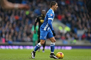 Brighton and Hove Albion vs. Bolton Wanderers: Sky Bet Championship Showdown at American Express Community Stadium (February 13, 2016)