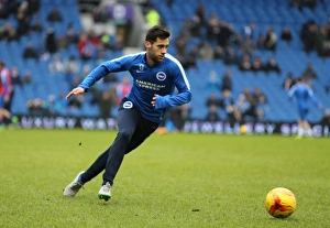 Brighton and Hove Albion vs. Bolton Wanderers: Sky Bet Championship Showdown at American Express Community Stadium (February 13, 2016)