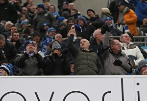 Brighton and Hove Albion vs. Bolton Wanderers: Sky Bet Championship Showdown at American Express Community Stadium (February 13, 2016)