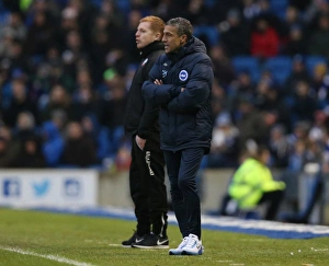 Brighton and Hove Albion vs. Bolton Wanderers: Sky Bet Championship Showdown at American Express Community Stadium (February 13, 2016)