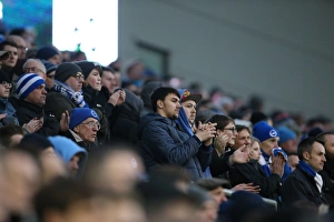 Brighton & Hove Albion vs. Bolton Wanderers: Sky Bet Championship Showdown at American Express Community Stadium (13/02/2016)