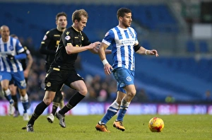 Brighton and Hove Albion vs. Bolton Wanderers: Sky Bet Championship Showdown at American Express Community Stadium (13/02/2016)