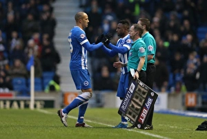 Brighton and Hove Albion vs. Bolton Wanderers: Sky Bet Championship Showdown at American Express Community Stadium (February 13, 2016)