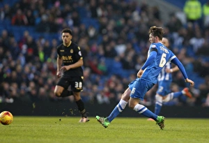 Brighton and Hove Albion vs. Bolton Wanderers: Sky Bet Championship Showdown at American Express Community Stadium (February 13, 2016)