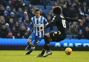 Brighton and Hove Albion vs. Bolton Wanderers: Sky Bet Championship Showdown at American Express Community Stadium (13/02/2016)