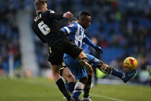 Brighton and Hove Albion vs. Bolton Wanderers: Sky Bet Championship Showdown at American Express Community Stadium (February 13, 2016)