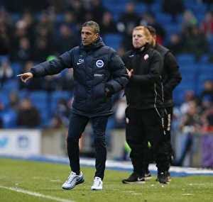 Brighton and Hove Albion vs. Bolton Wanderers: Sky Bet Championship Showdown at American Express Community Stadium (February 13, 2016)