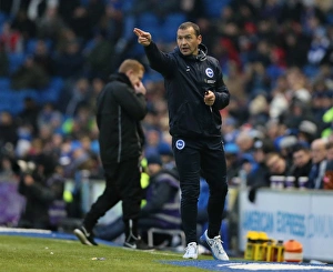 Brighton and Hove Albion vs. Bolton Wanderers: Sky Bet Championship Showdown at American Express Community Stadium (13/02/2016)