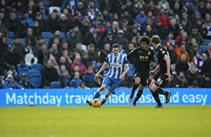Brighton and Hove Albion vs. Bolton Wanderers: Sky Bet Championship Showdown at American Express Community Stadium (February 13, 2016)