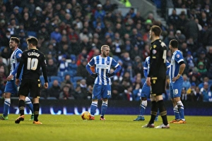 Brighton and Hove Albion vs. Bolton Wanderers: Sky Bet Championship Showdown at American Express Community Stadium - February 13, 2016