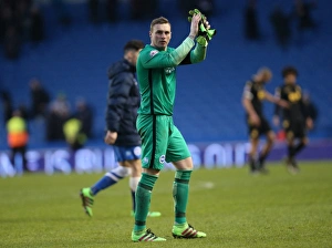 Brighton and Hove Albion vs. Bolton Wanderers: Sky Bet Championship Showdown at American Express Community Stadium - February 13, 2016