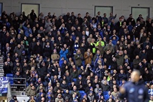 Brighton and Hove Albion vs. Sheffield Wednesday: Sky Bet Championship Showdown at American Express Community Stadium (08.03.2016)