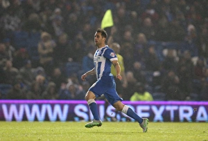 Brighton and Hove Albion vs. Sheffield Wednesday: Sky Bet Championship Showdown at American Express Community Stadium (08.03.2016)