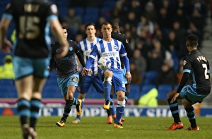 Brighton and Hove Albion vs. Sheffield Wednesday: Sky Bet Championship Showdown at American Express Community Stadium (08.03.2016)