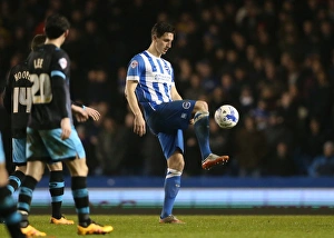 Brighton and Hove Albion vs. Sheffield Wednesday: Sky Bet Championship Showdown at American Express Community Stadium (08.03.2016)