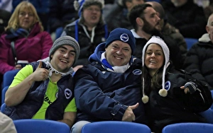 Brighton and Hove Albion vs. Sheffield Wednesday: Sky Bet Championship Showdown at American Express Community Stadium (08.03.2016)