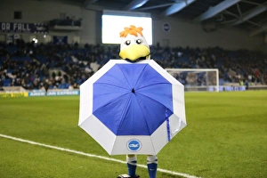 Brighton and Hove Albion vs. Sheffield Wednesday: Sky Bet Championship Showdown at American Express Community Stadium (08.03.2016)