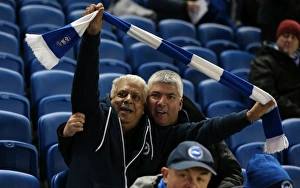 Brighton and Hove Albion vs. Sheffield Wednesday: Sky Bet Championship Showdown at American Express Community Stadium (08.03.2016)