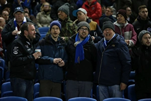 Brighton and Hove Albion vs. Sheffield Wednesday: Sky Bet Championship Showdown at American Express Community Stadium (08.03.2016)