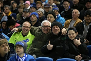 Brighton and Hove Albion vs. Sheffield Wednesday: Sky Bet Championship Showdown at American Express Community Stadium (08.03.2016)